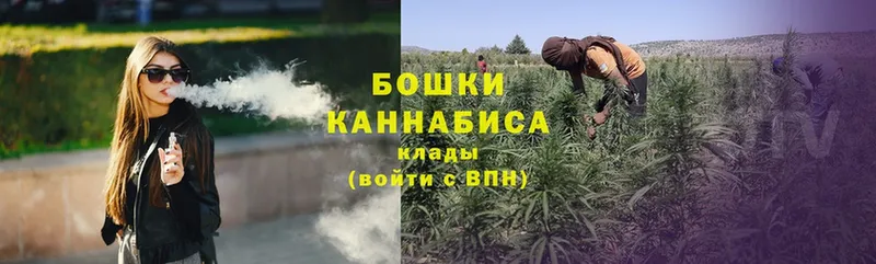 хочу   Сретенск  mega ссылки  Канабис OG Kush 